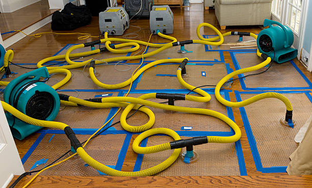 Professional Sewage Cleanup technician working in Wyandotte, MI